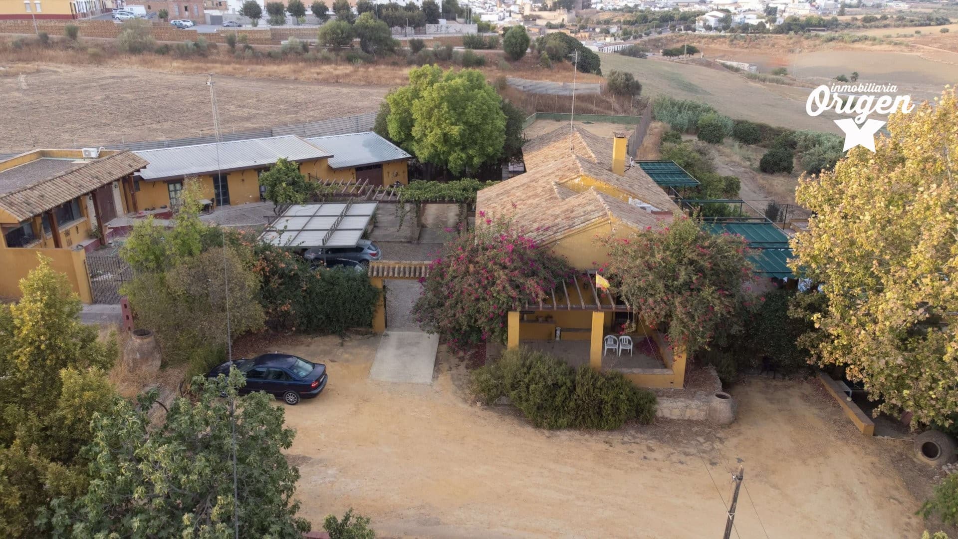 Imagen 15
